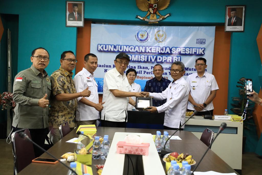 Yogyakarta Potensial Sebagai Supplier Benih Ikan Air Tawar