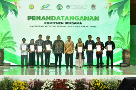 Akselerasi Program PSR, Kementan Targetkan Pertanaman Tumpang Sari Padi Gogo 500 Ribu Hektare
