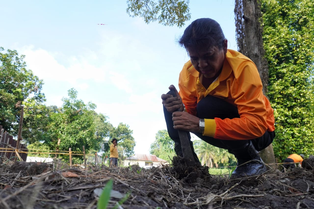 Kapolsek Medan Kota Kompol Selvintriansih melakukan penanaman bibit jagung madu di lahan produktif ketahanan pangan di Jalan Avros, Medan Maimun, Sumatera Utara, Sabtu (16/11/2024). 