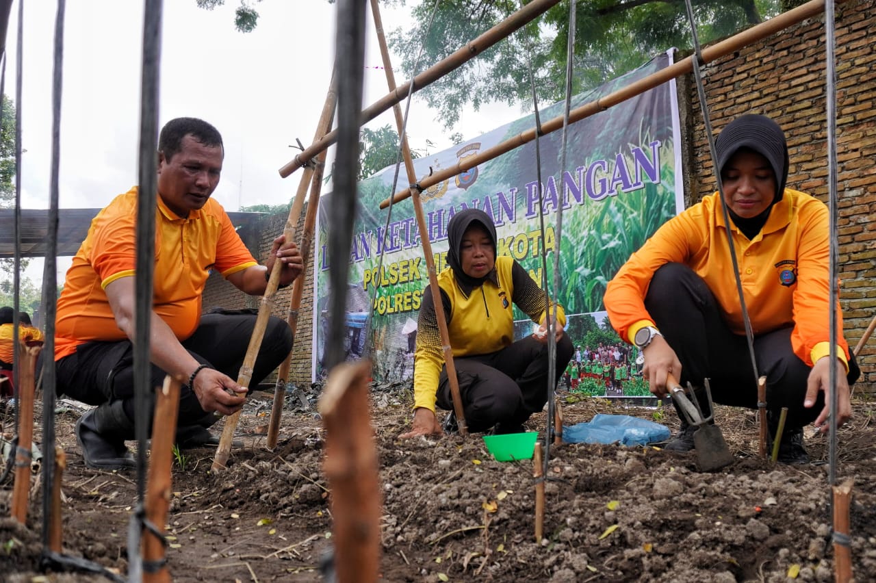 Pemanfaatan lahan produktif yang dikelola Polsek Medan Kota bersama masyarakat setempat merupakan bagian dari program ketahanan pangan di daerah untuk mendukung program Asta Cita Presiden Prabowo Subianto.