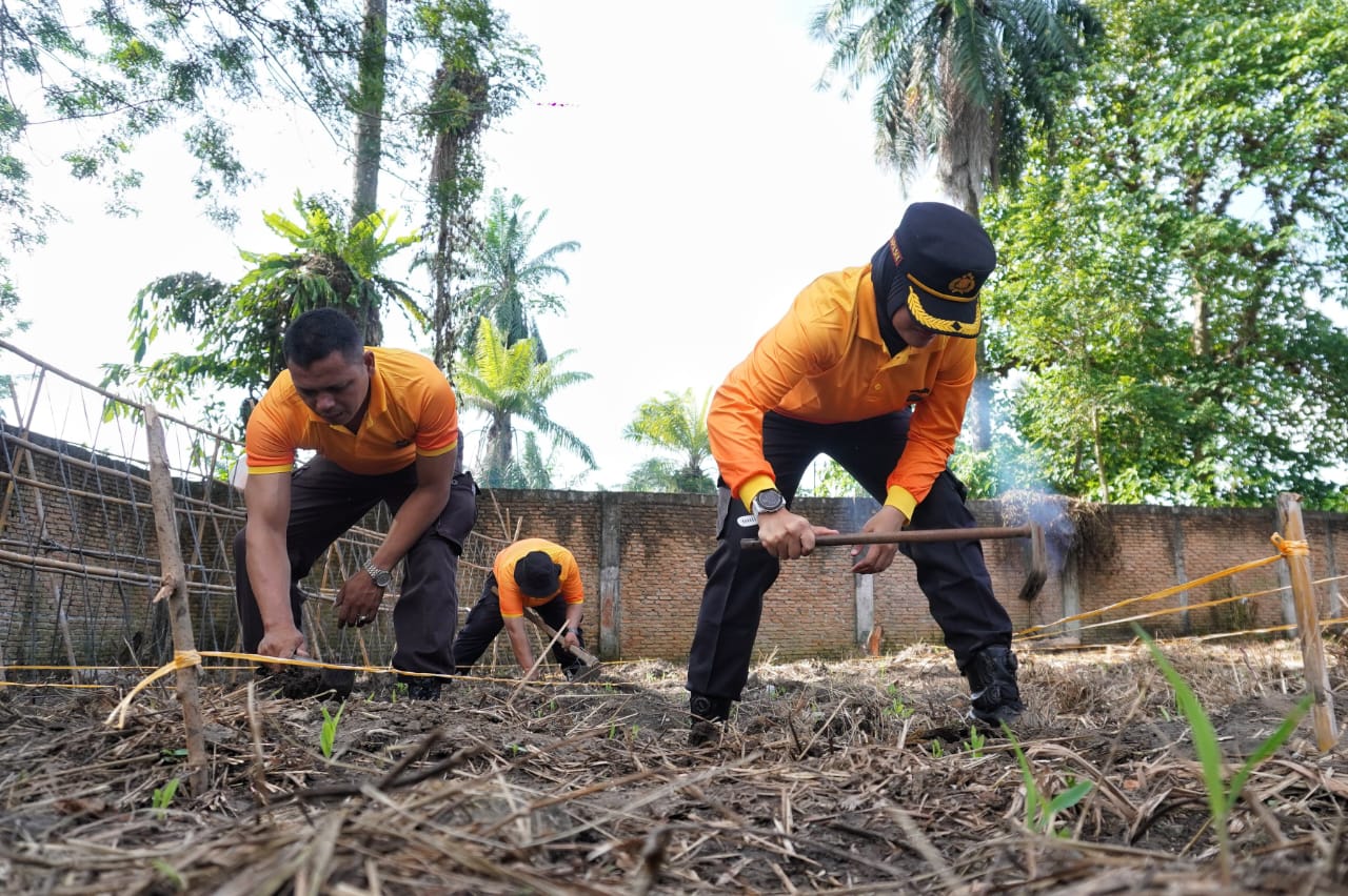 Pemanfaatan lahan produktif yang dikelola Polsek Medan Kota bersama masyarakat tersebut merupakan bagian dari program ketahanan pangan di daerah untuk mendukung program Asta Cita Presiden Prabowo Subianto.