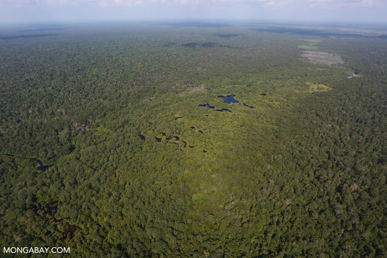 Badan Usaha Milik Desa, Upaya Meningkatkan Kualitas Hidup Masyarakat Disekitar Gambut. Seperti Apa?