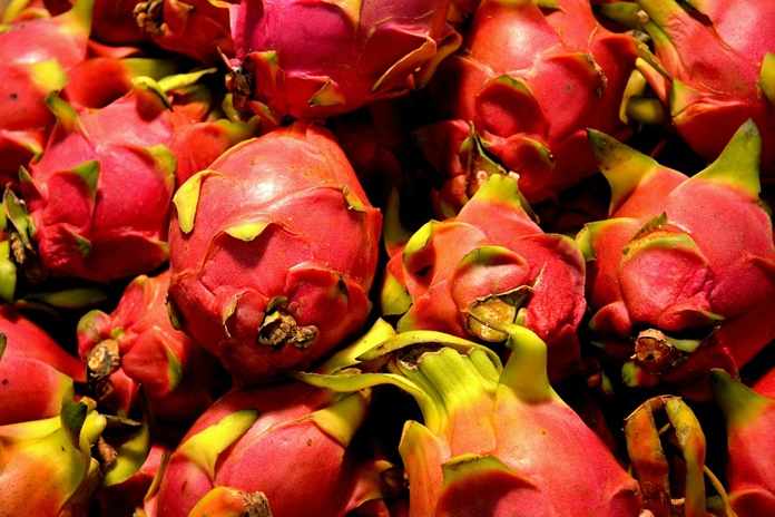 Kulit Buah Naga Diolah Jadi Yoghurt, Seperti Apa Ya?